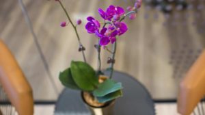 logos-foyer-flowers-office-entry-first-impressions-count