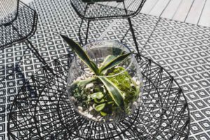 greenery-outdoor-furniture-black-white-bondi