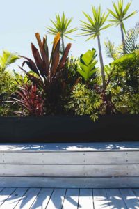 tropical-greenery-decking-bench-bondi